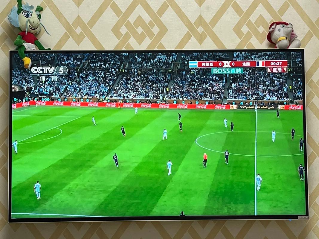 卡塔尔世界杯直播的相关图片